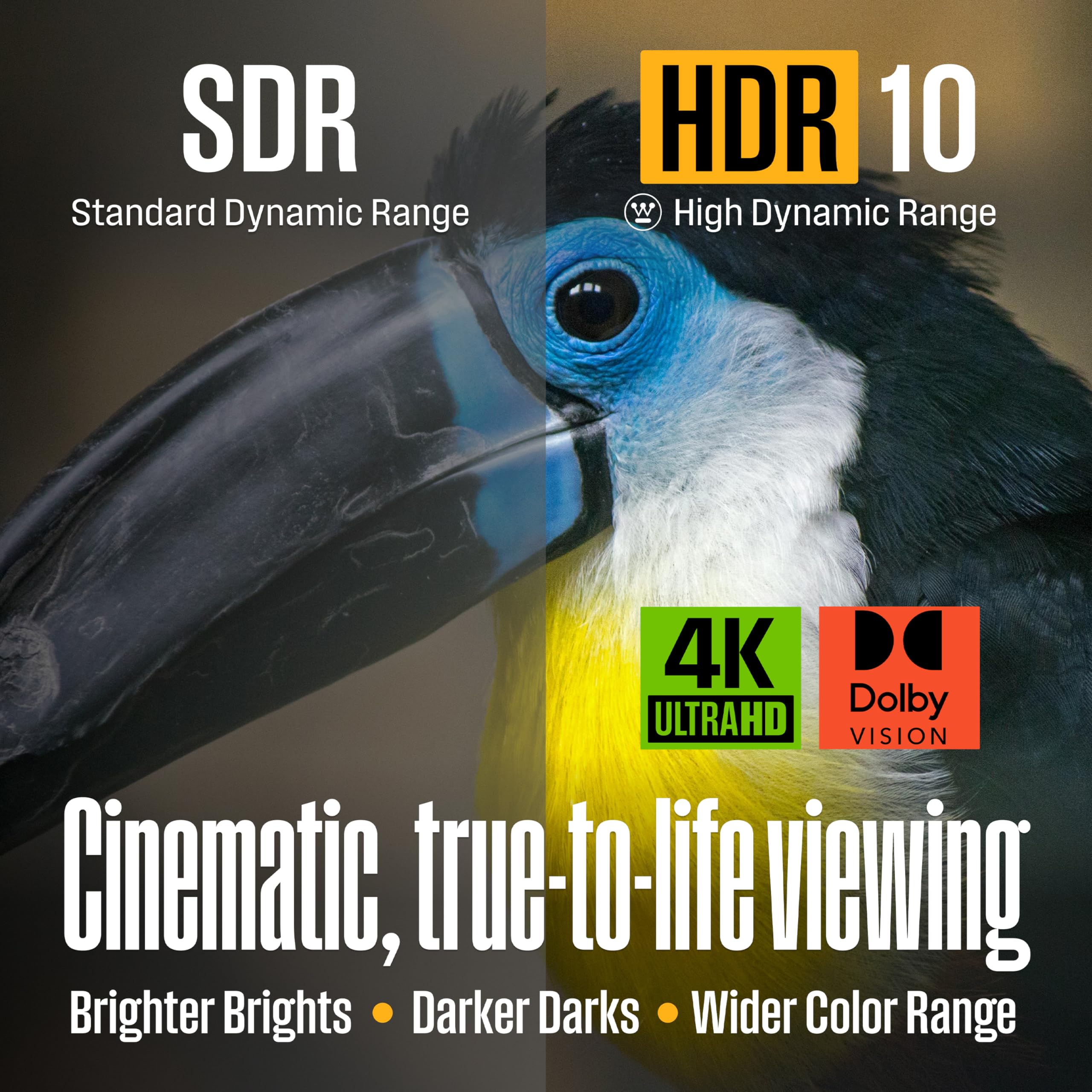 Westinghouse PS Series 55″ 4K UHD Partial Sun Outdoor TV, 700+ Nits High-Brightness Anti-Glare Display, Xumo Smart TV, Weather-Resistant Outdoor Television - Image 4